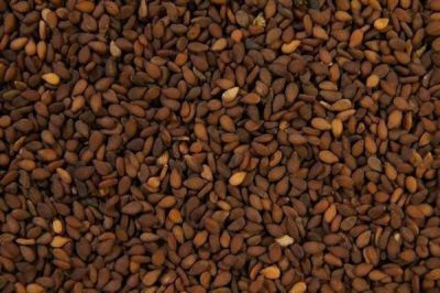 Brown Sesame Seed